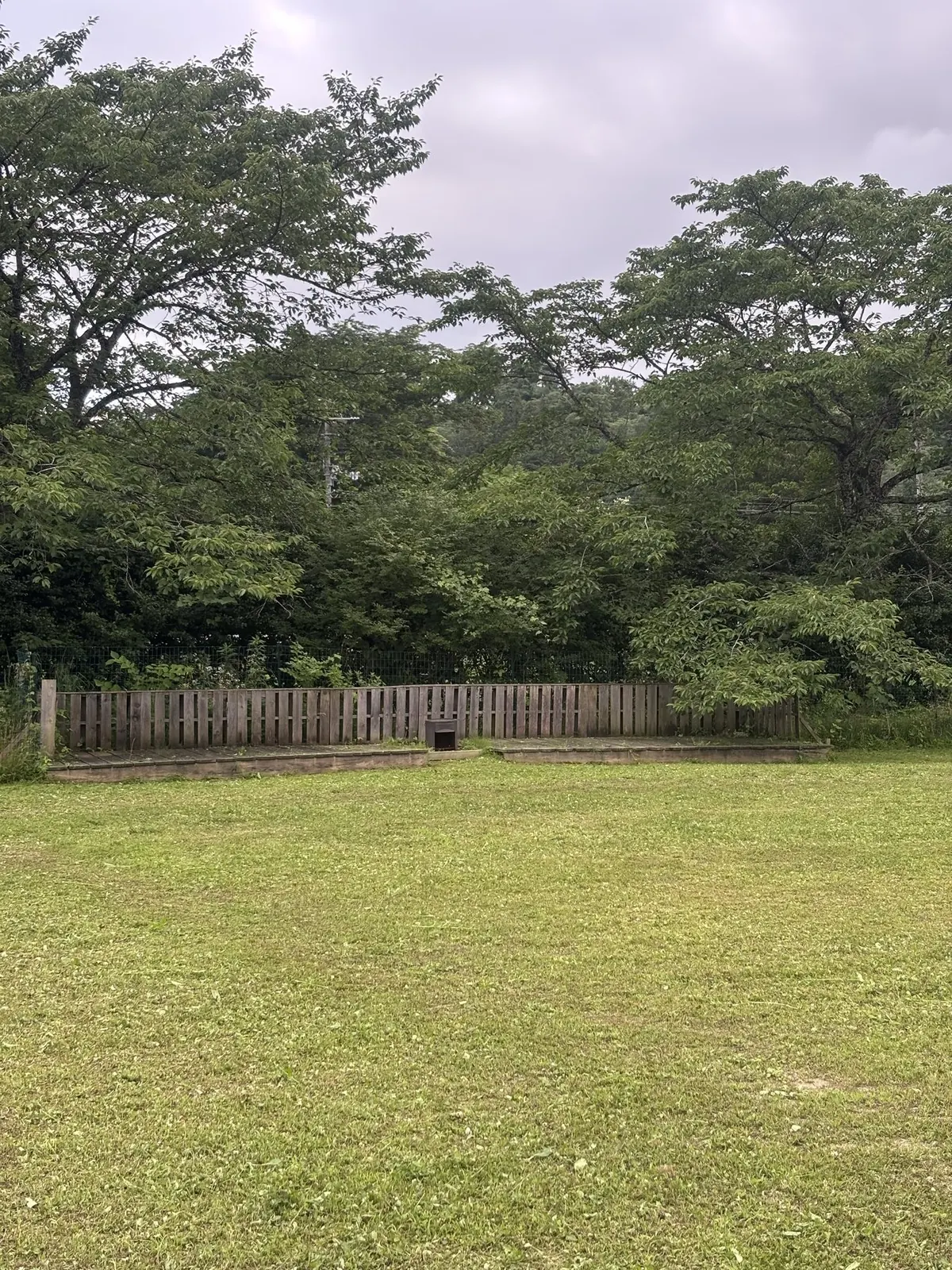 校庭