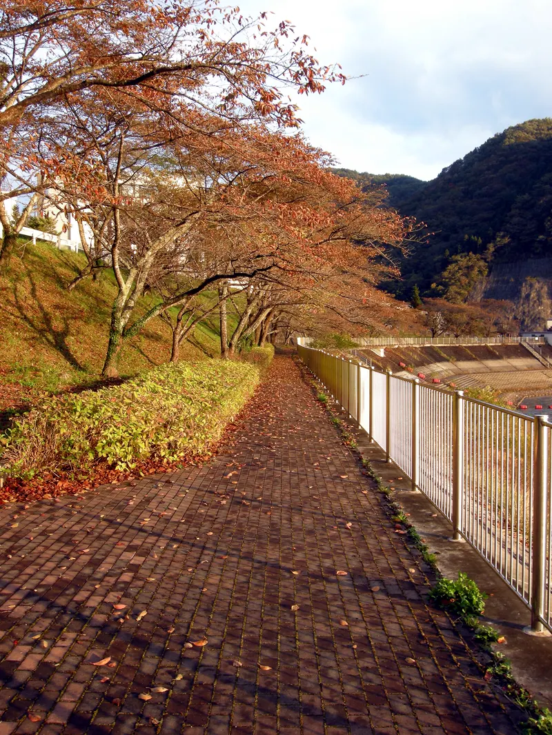 秋の釜房湖の遊歩道