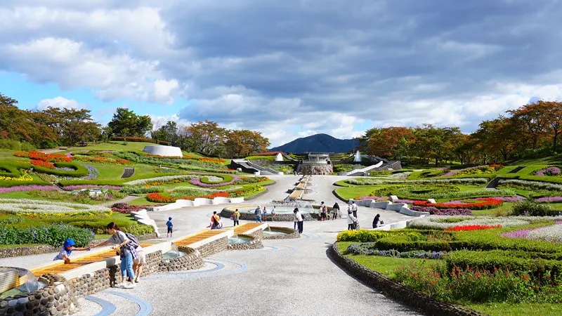 みちのく杜の湖畔公園の花畑